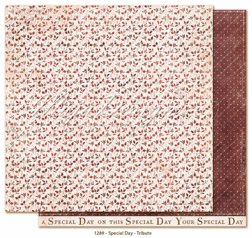 Maja Design Special Day - Collection Pack 30,5 x 30,5 cm