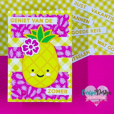 CarlijnDesign Clear stamp Onderteksten zomer stempels