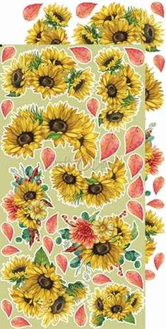 Craft O&#039;Clock Extras to Cut Set &ndash; Flowers &ndash; Autumn Beauty