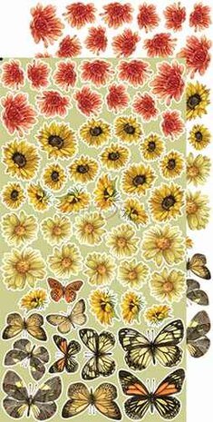 Craft O&#039;Clock Extras to Cut Set &ndash; Flowers &ndash; Autumn Beauty