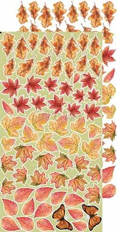 Craft O&#039;Clock Extras to Cut Set &ndash; Flowers &ndash; Autumn Beauty