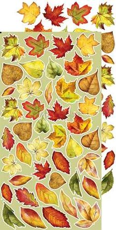 Craft O&#039;Clock Extras to Cut Set &ndash; Flowers &ndash; Autumn Beauty