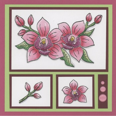 Clear Stamps - Amy Design - Pink Florals - Orchid